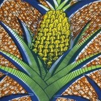 Tissu Africain