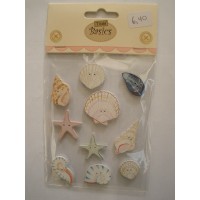 mer, coquillages